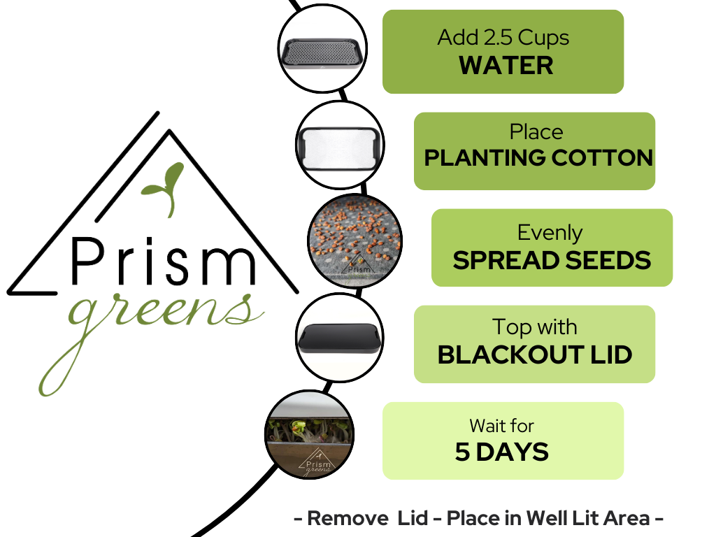 Prism Greens Microgreens Growing Kit