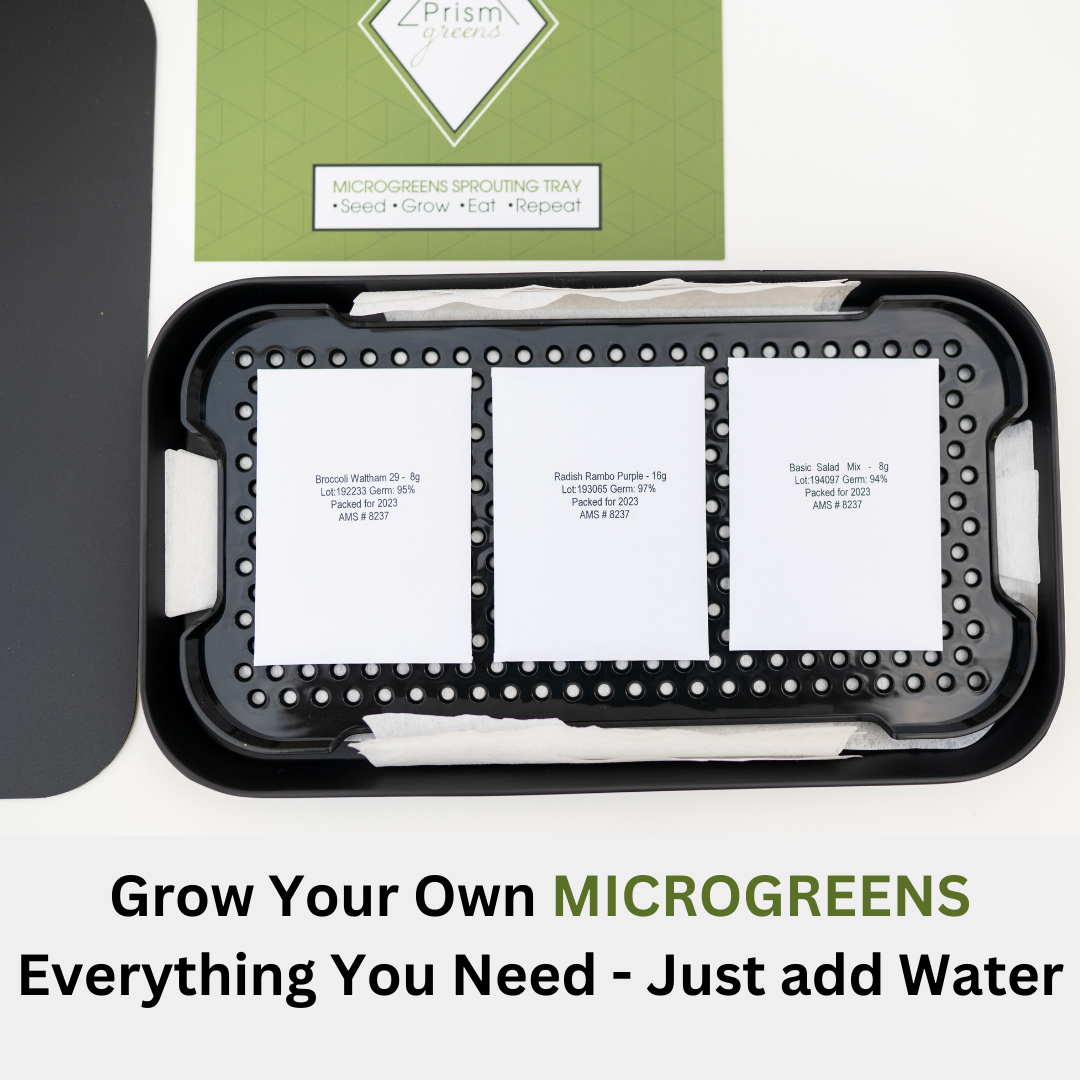 Prism Greens Microgreens Growing Kit