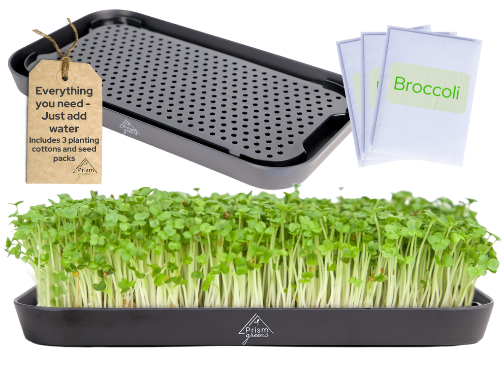 Prism Greens Microgreens Growing Kit