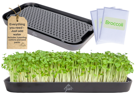 Prism Greens Microgreens Growing Kit